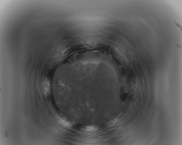 X0000096480130200801311605