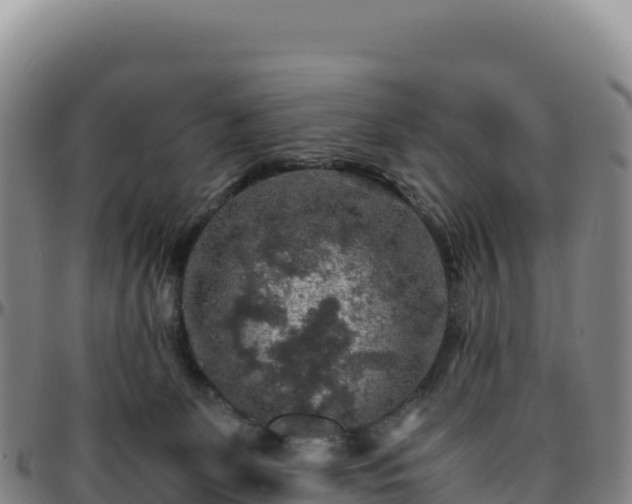 X0000096480131200801311604