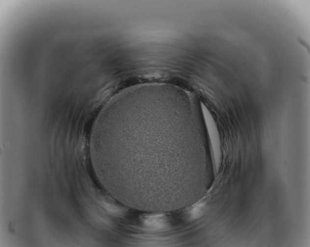 X0000096480132200801311604