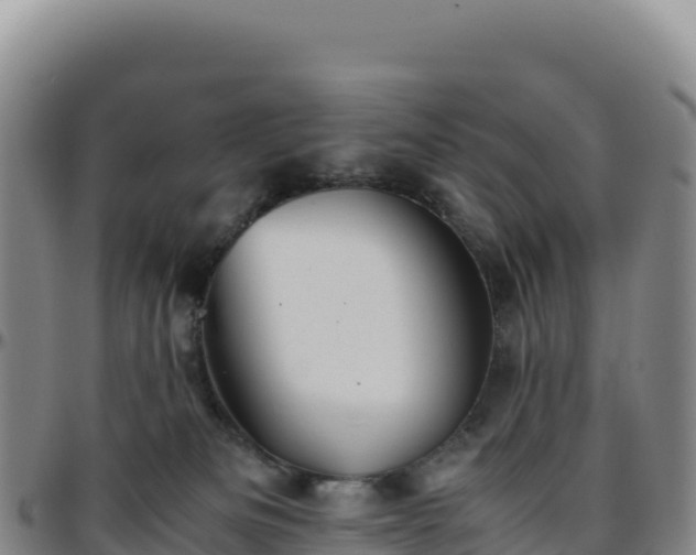 X0000096480133200801311604