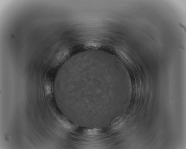 X0000096480134200801311604