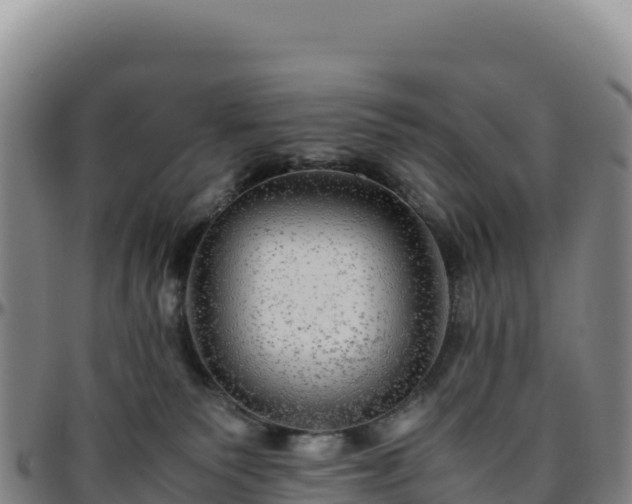 X0000096480135200801311604