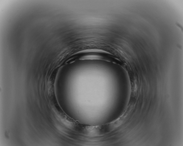 X0000096480136200801311604