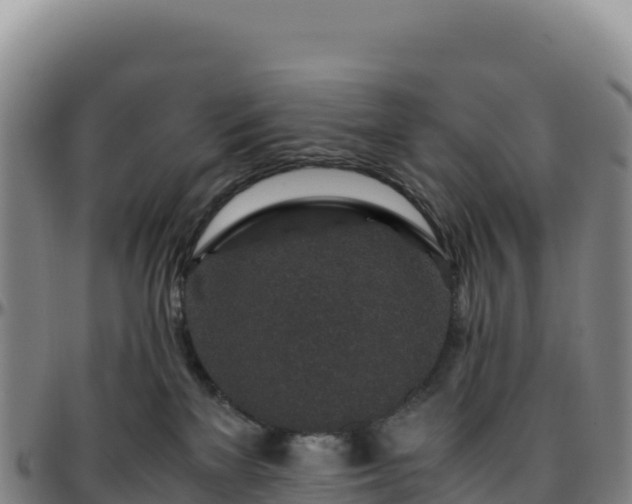 X0000096480137200801311604