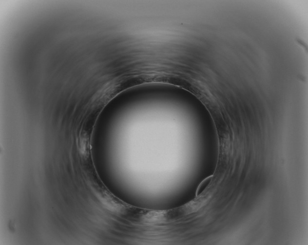 X0000096480138200801311604