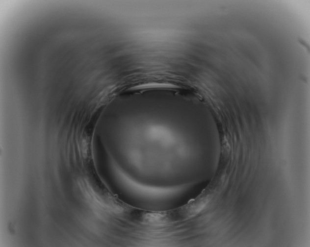 X0000096480139200801311604