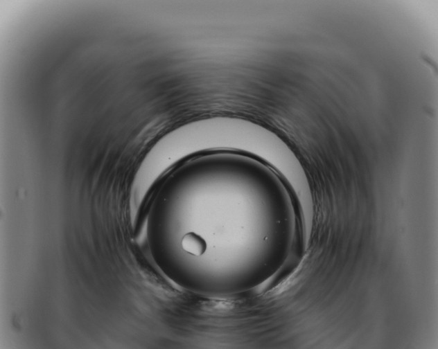 X0000096480140200801311604