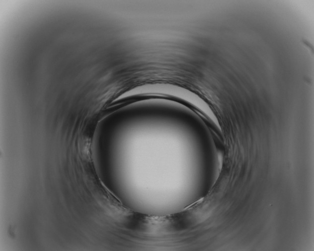 X0000096480141200801311604