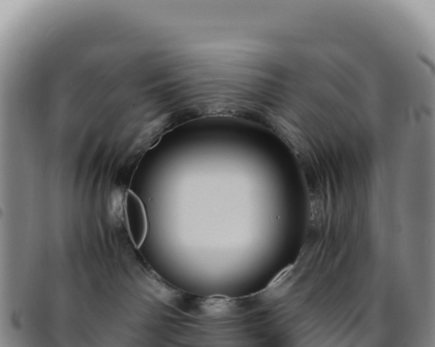 X0000096480142200801311604