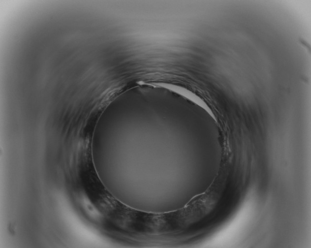 X0000096480143200801311604