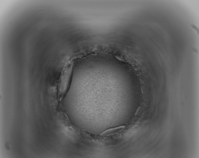 X0000096480144200801311604