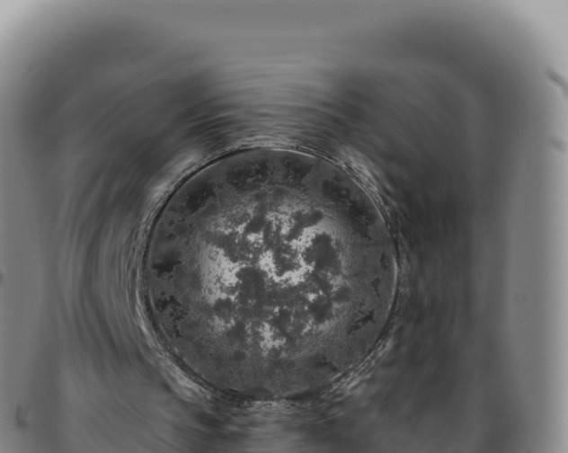 X0000096480145200801311603