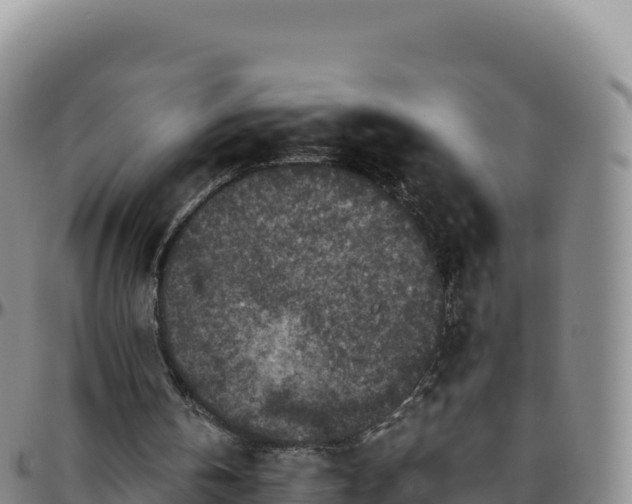 X0000096480146200801311603