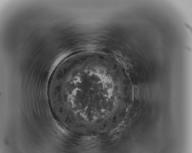 X0000096480147200801311603