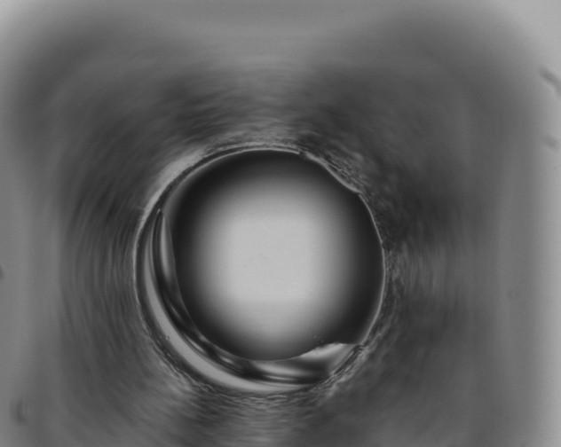 X0000096480148200801311603