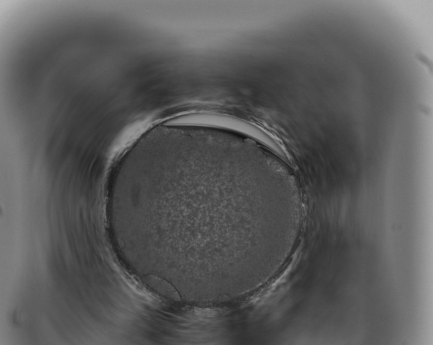 X0000096480149200801311603