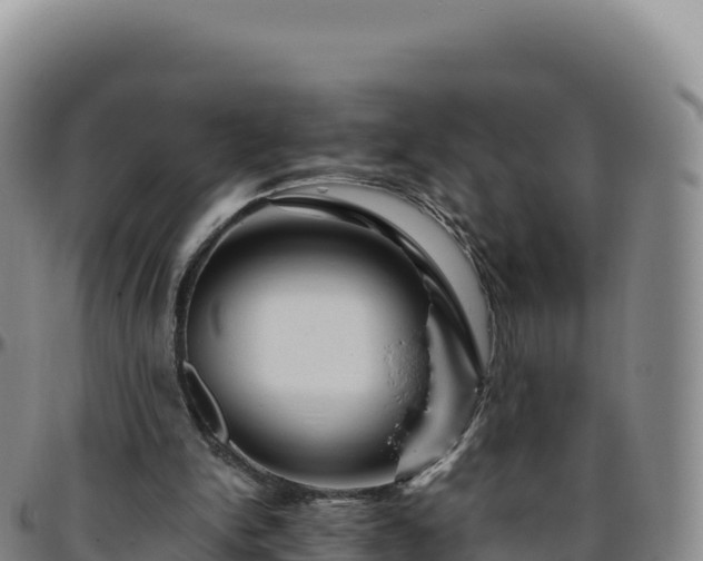 X0000096480150200801311603