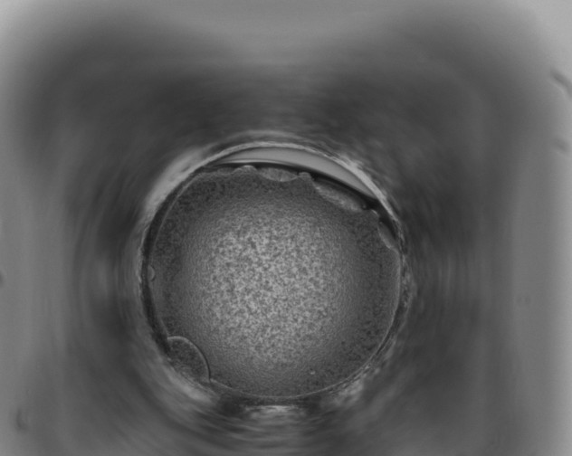 X0000096480151200801311603