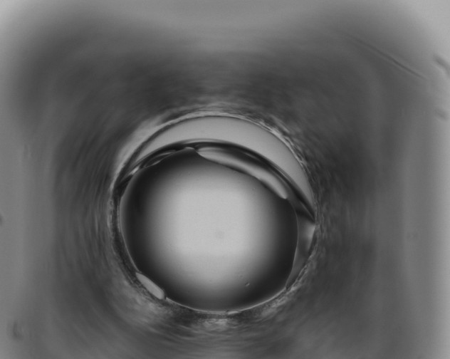 X0000096480152200801311603