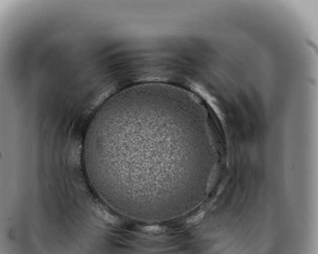 X0000096480153200801311604