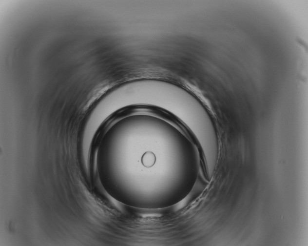 X0000096480154200801311604