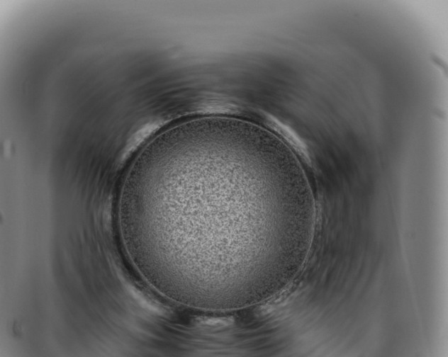 X0000096480155200801311604