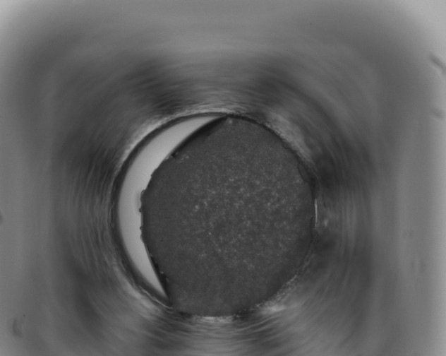 X0000096480156200801311604