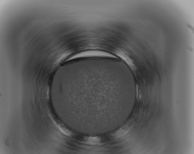 X0000096480157200801311604