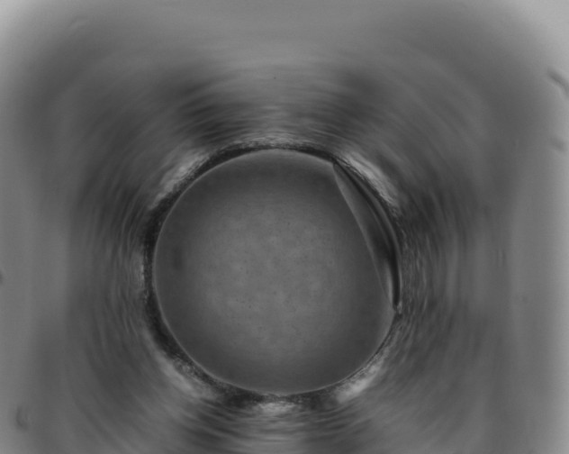 X0000096480158200801311604