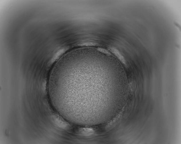 X0000096480159200801311604