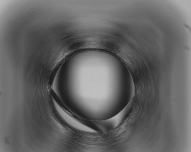 X0000096480160200801311604