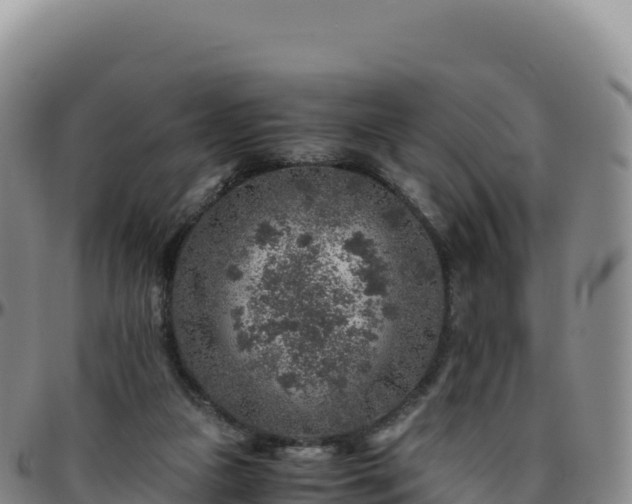 X0000096480161200801311604