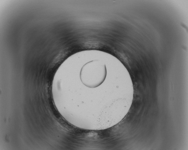 X0000096480162200801311604