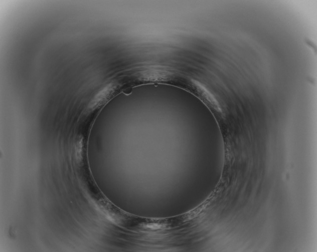 X0000096480163200801311604