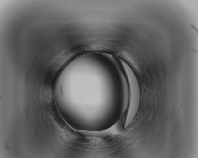 X0000096480164200801311604