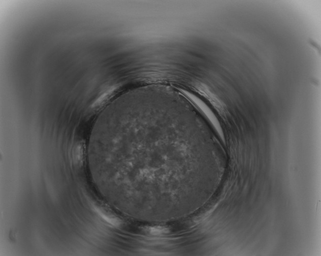 X0000096480165200801311604