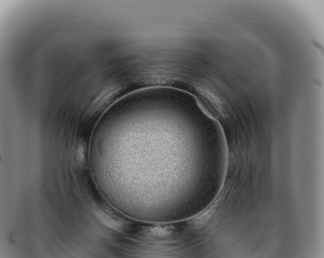 X0000096480166200801311604