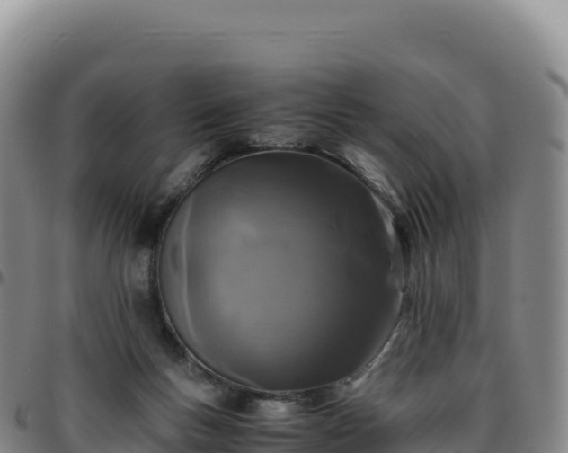 X0000096480167200801311604