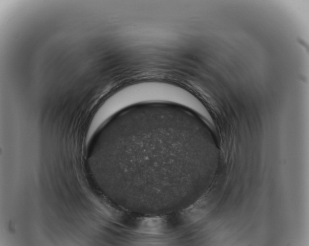 X0000096480168200801311604