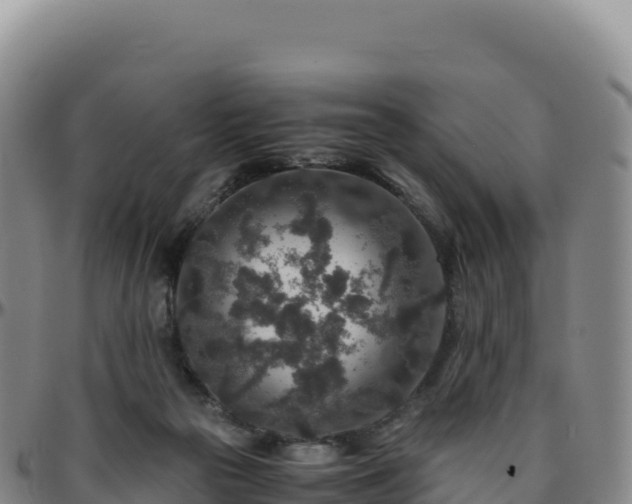 X0000096480169200801311604