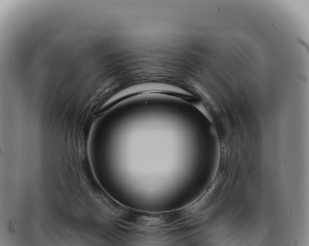 X0000096480170200801311604