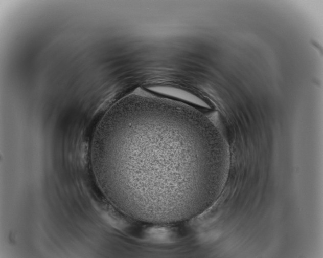 X0000096480171200801311604