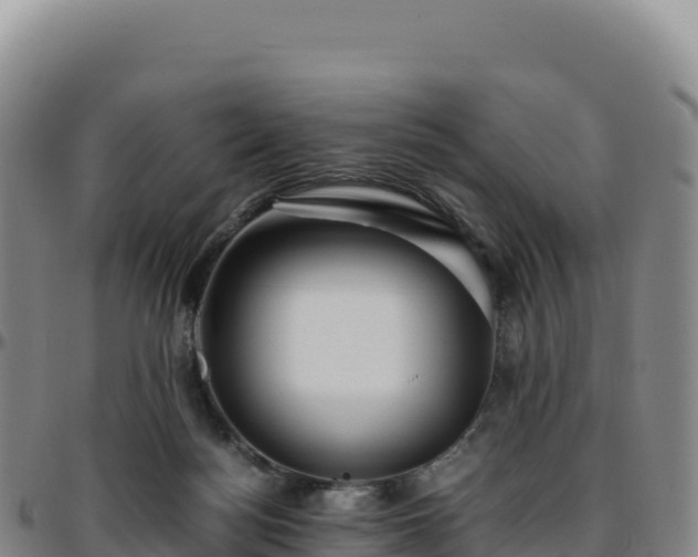 X0000096480172200801311604