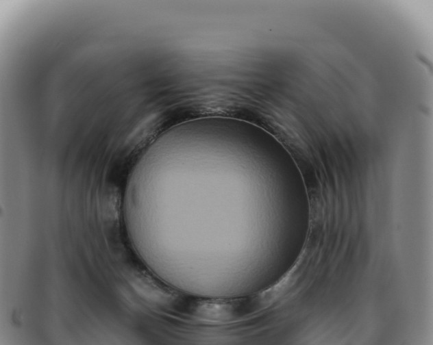 X0000096480174200801311604