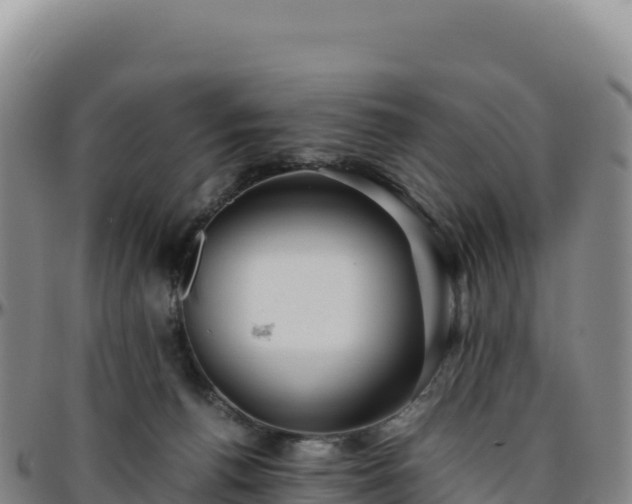 X0000096480176200801311604