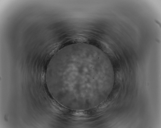 X0000096480177200801311604