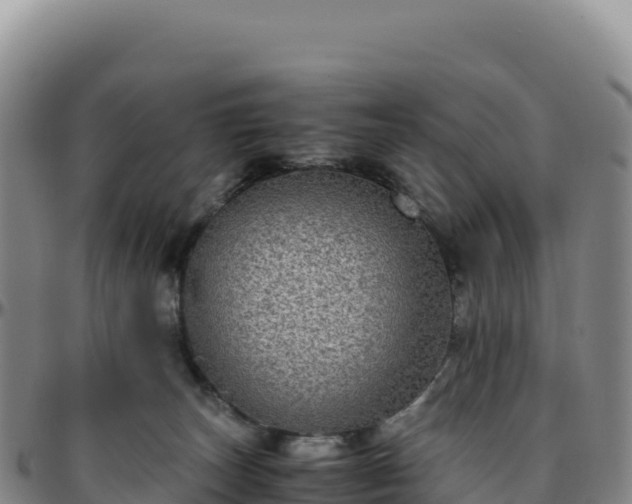 X0000096480179200801311604