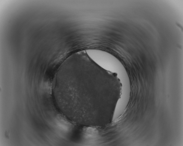 X0000096480180200801311604