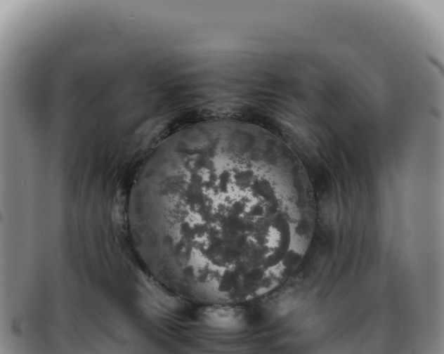 X0000096480181200801311604