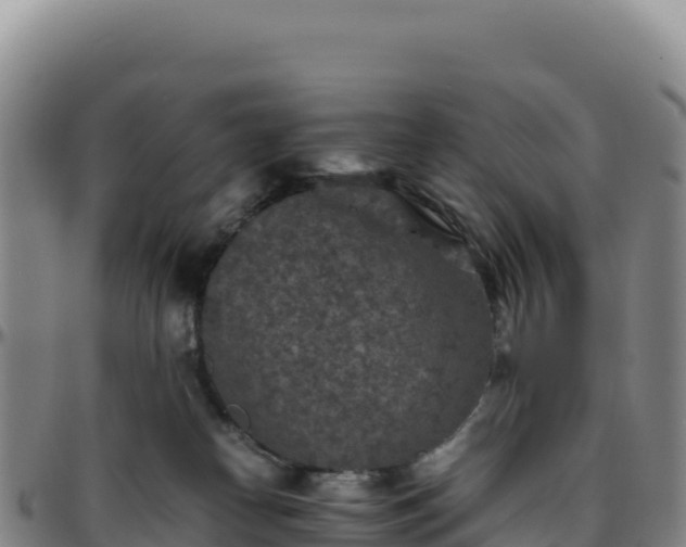 X0000096480182200801311604